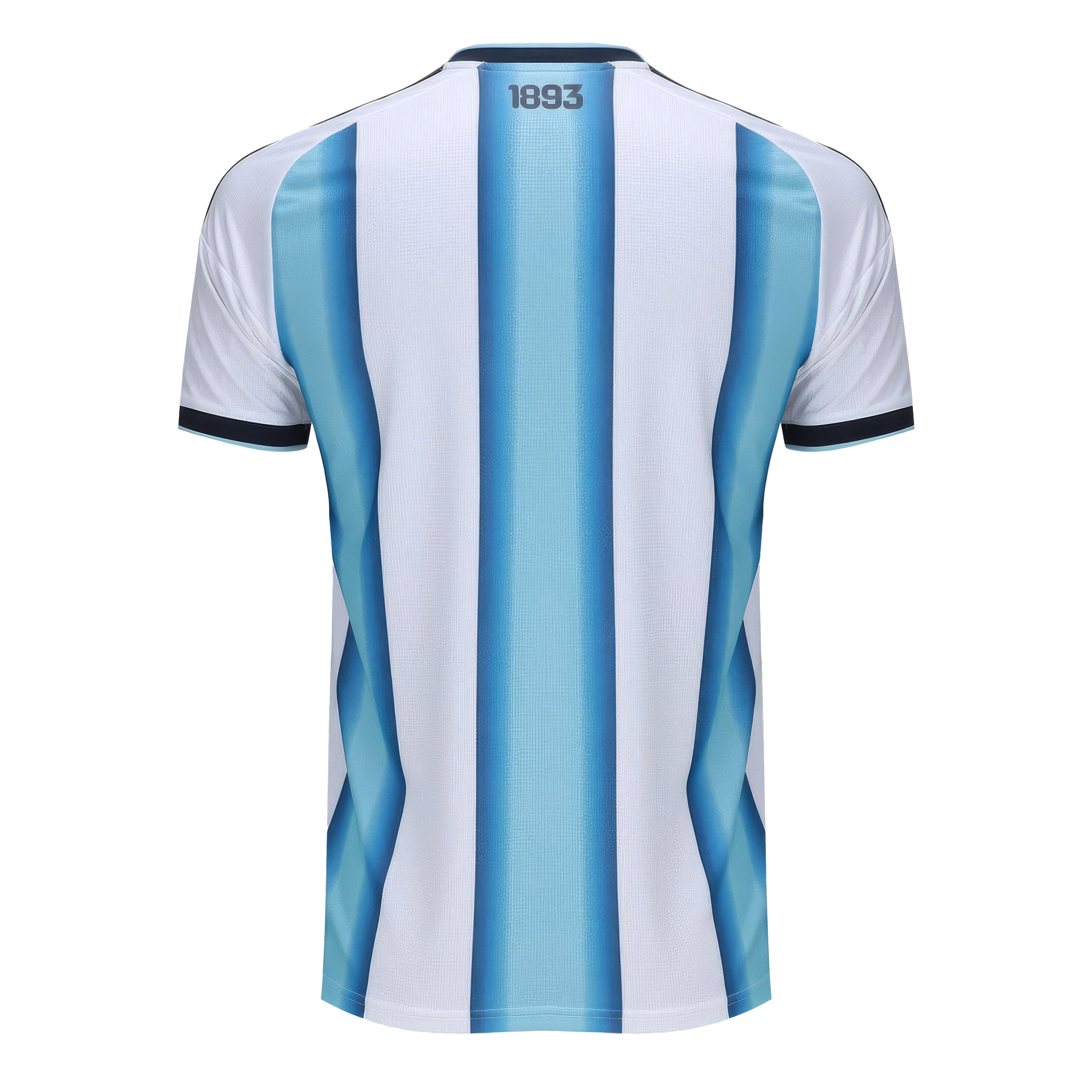 Camisa Argentina 26 I