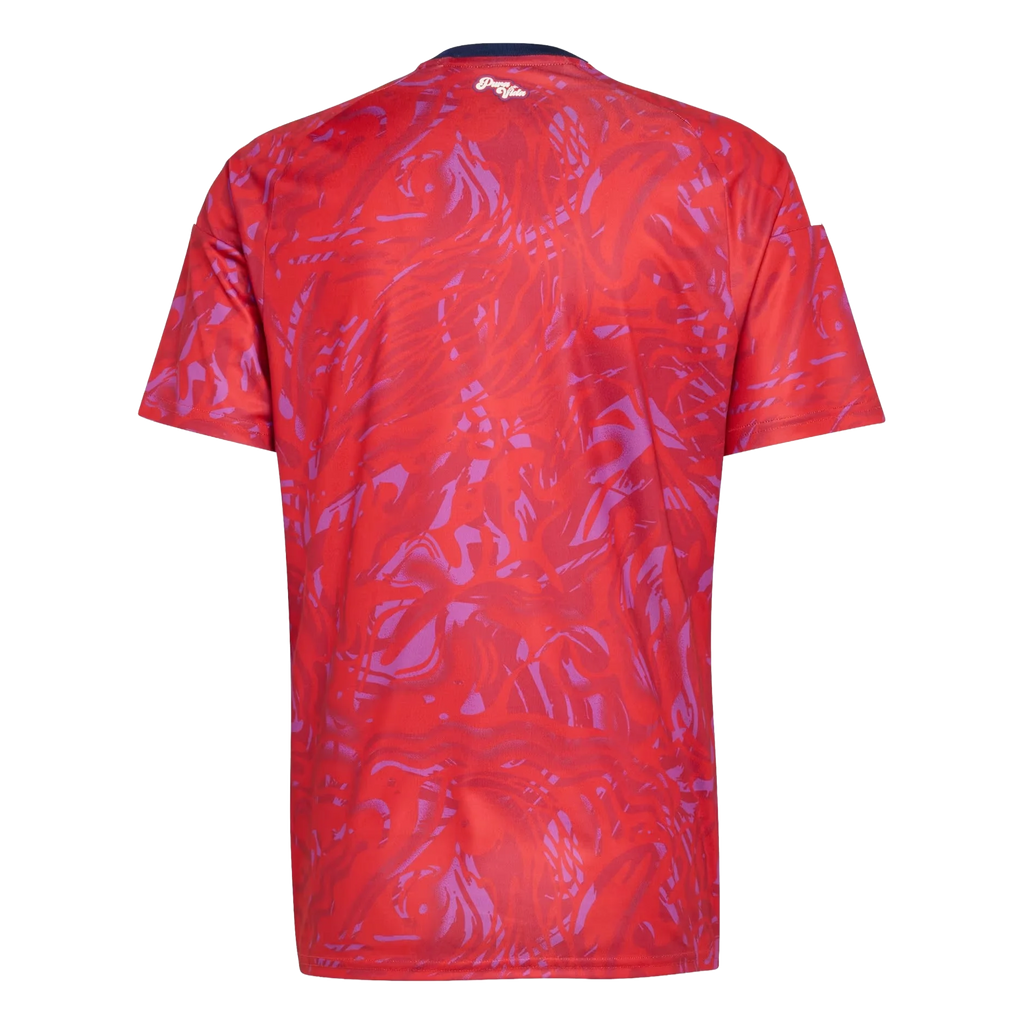 Camisa Costa Rica 26 I