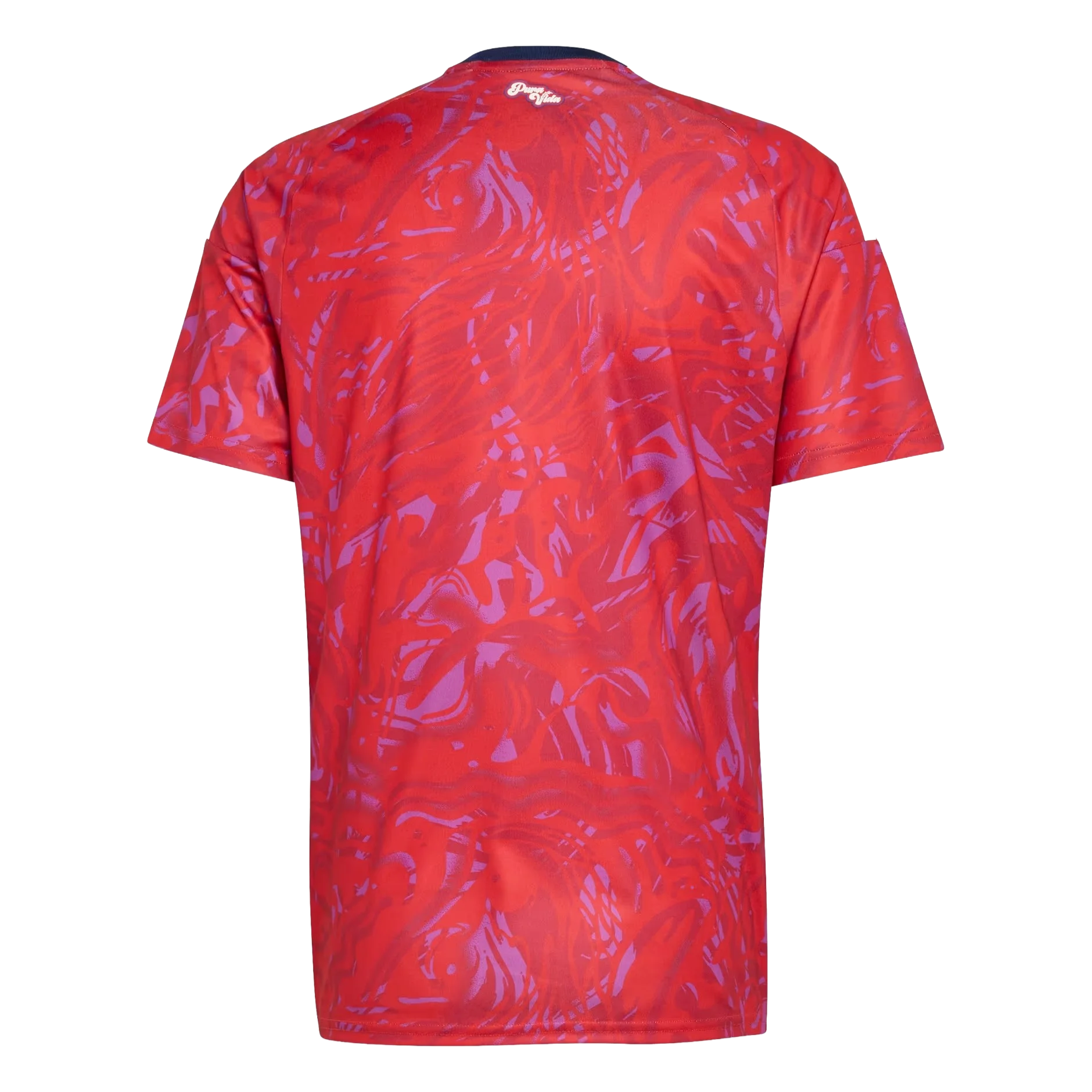 Camisa Costa Rica 26 I
